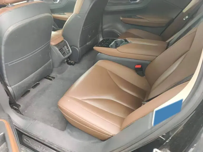 2021 HONGQI E-QM5 thumbnail 3