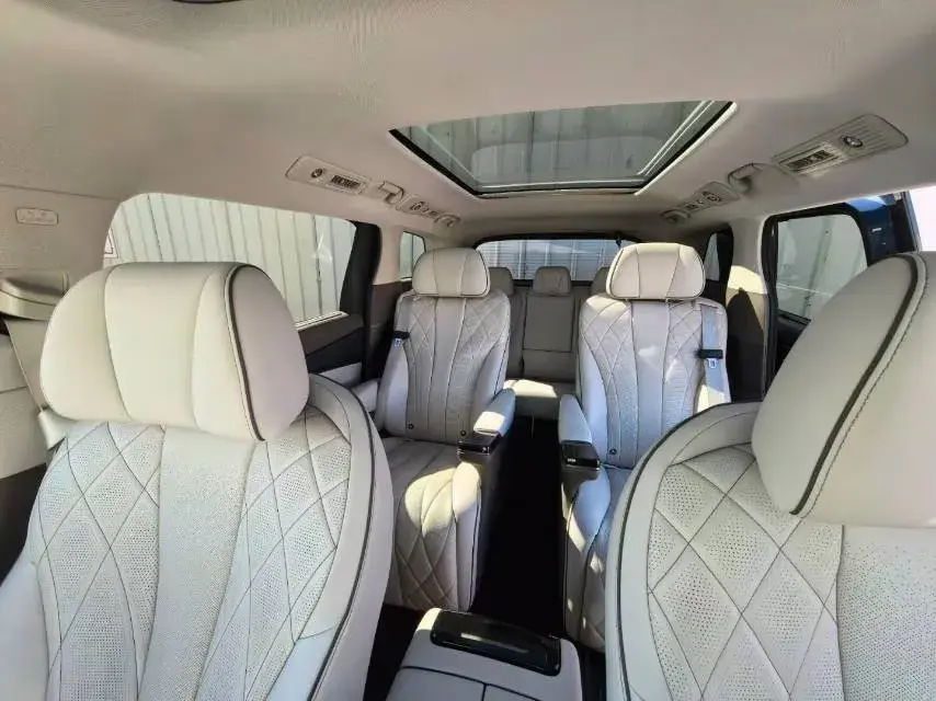 2022 DENZA D9 thumbnail 4