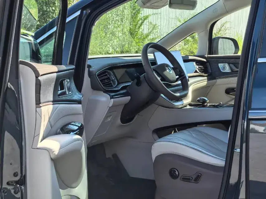 2022 DENZA D9 thumbnail 2