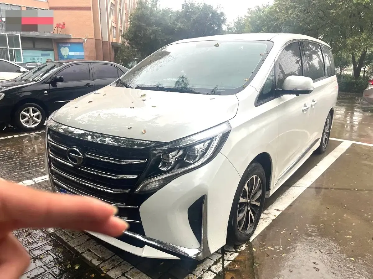 2024 GAC Trumpchi M8 2.0T 252HP L4 8AT