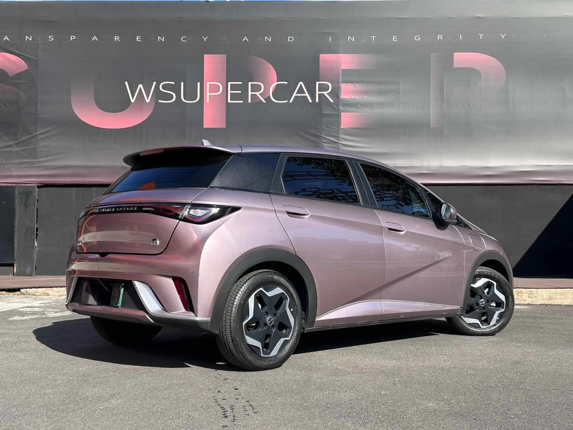 2021 BYD DOLPHIN thumbnail 3