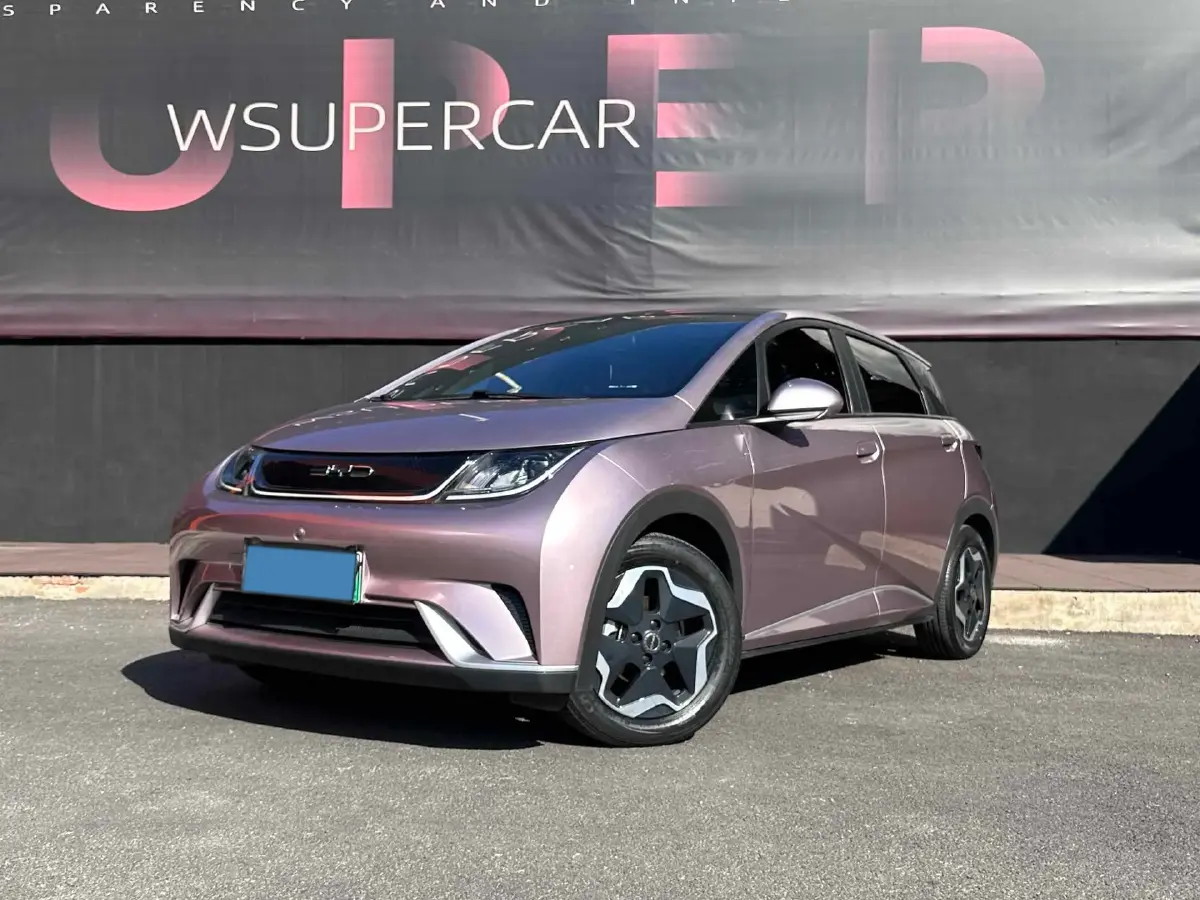 2021 BYD Dolphin BEV 44.9KWH