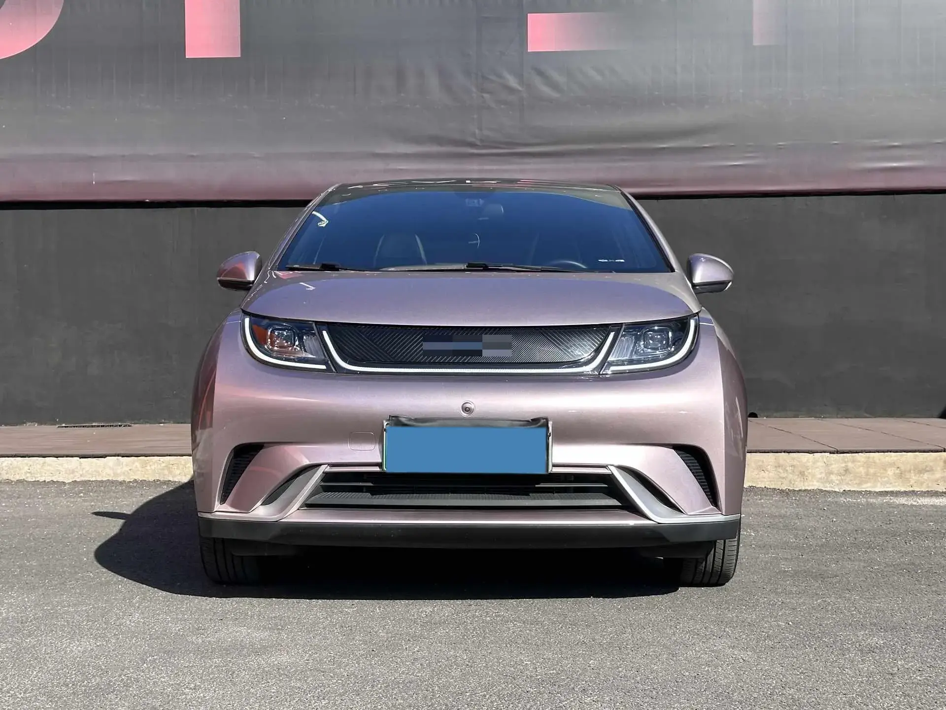 2021 BYD DOLPHIN thumbnail 2