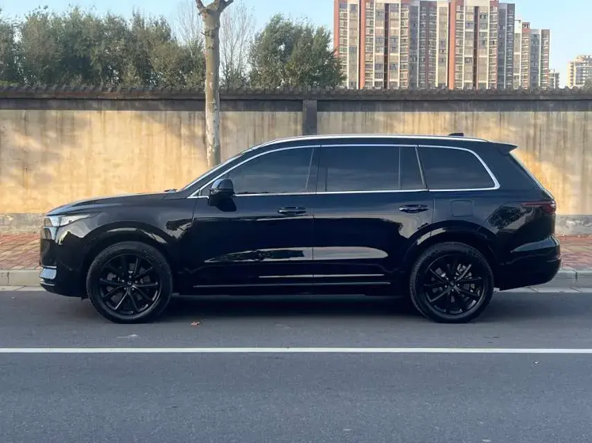 2021 LI ONE thumbnail 4