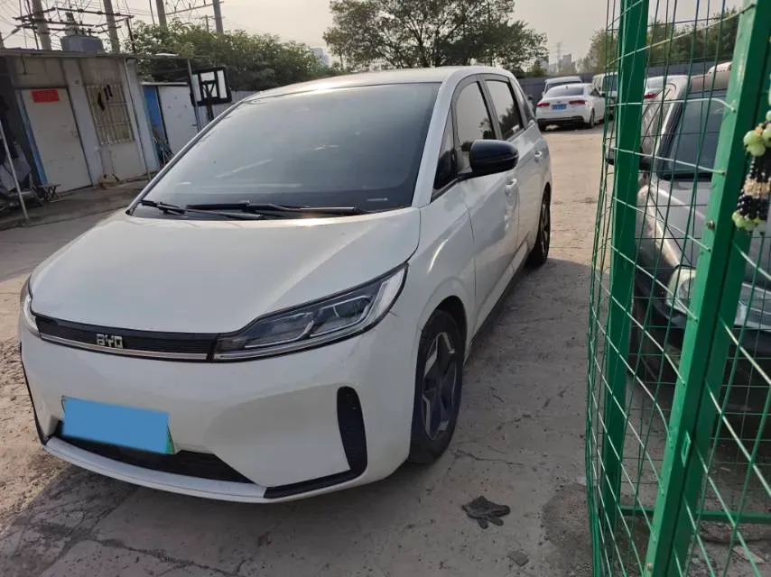 2021 BYD D1 BEV 53.6KWH,autocango,china used car exporter,china ev exporter,chinese used car exporter,chinese used ev exporter
