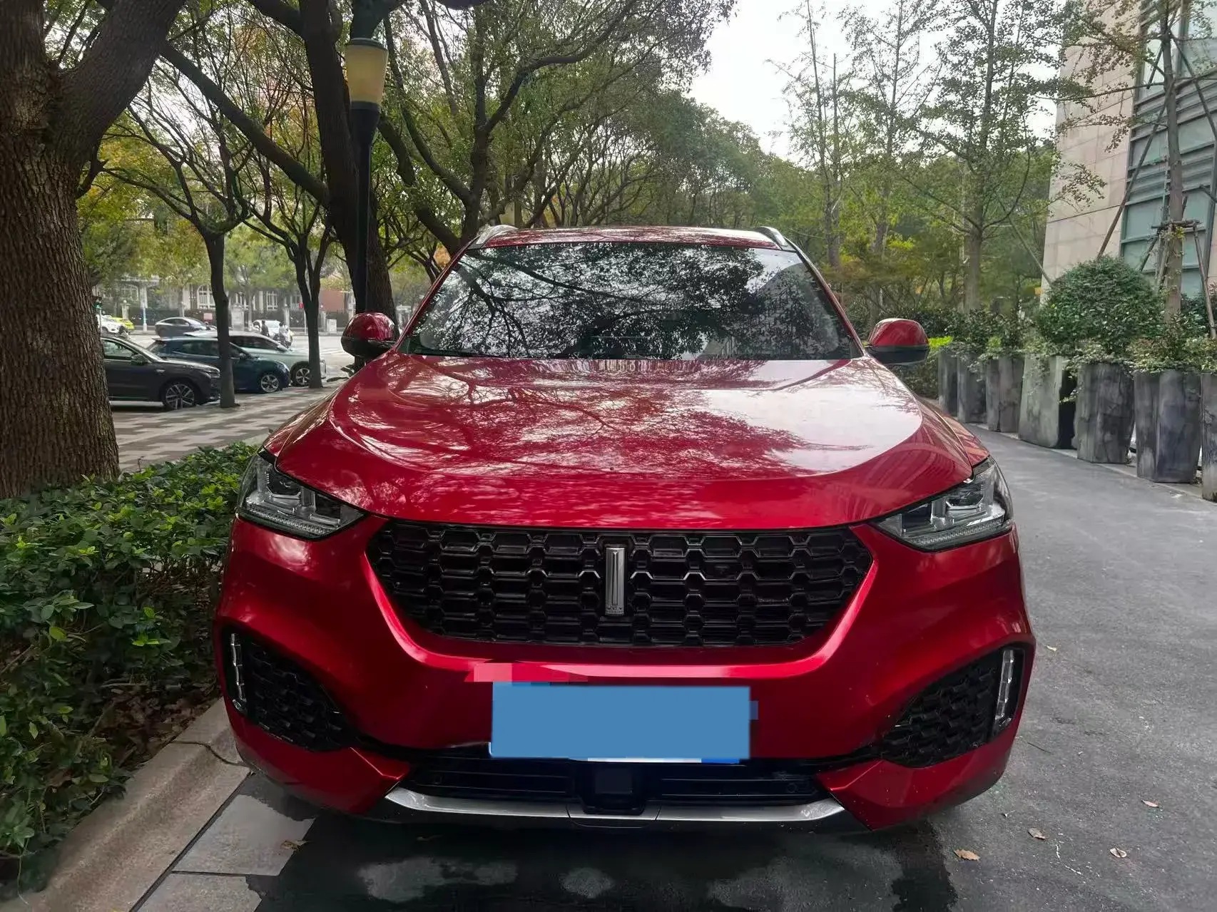 2018 WEY VV6 thumbnail 2