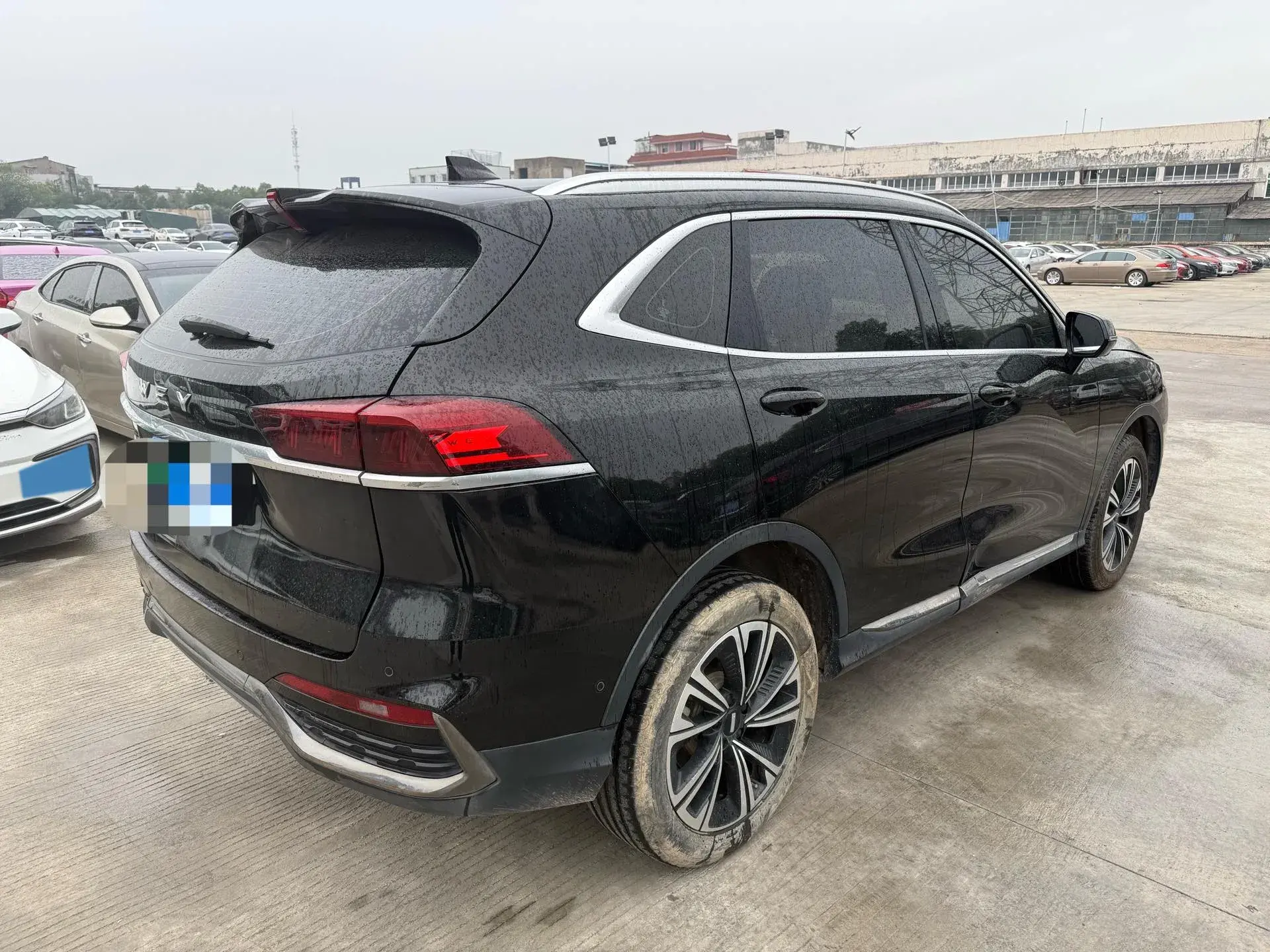 2022 WEY LATTE thumbnail 4