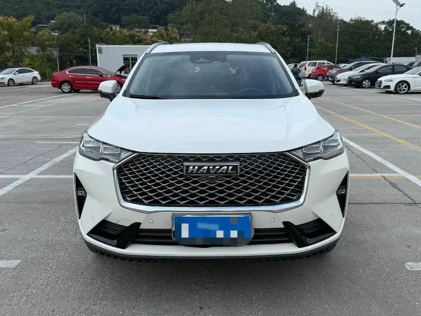 2021 HAVAL H6 thumbnail 2