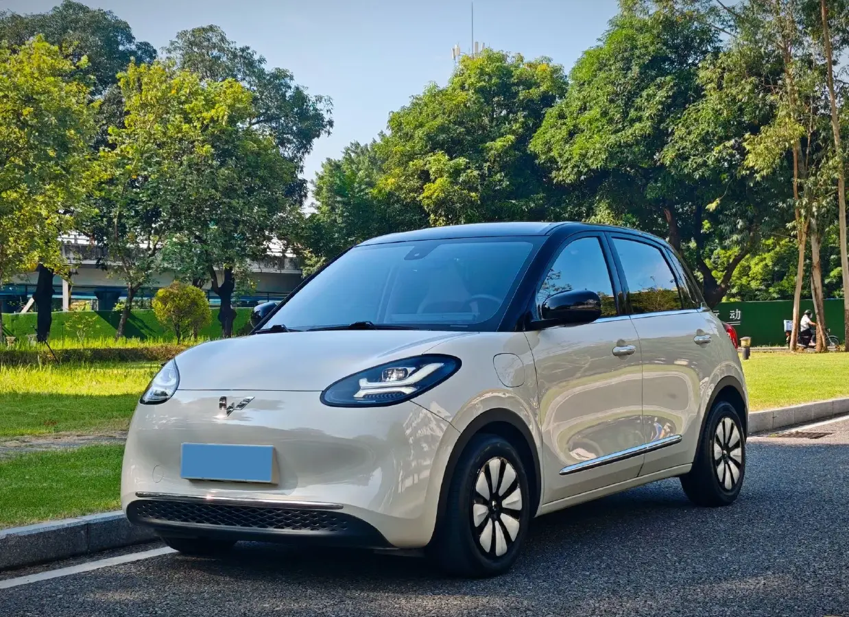 2023 WuLing BinGuo BEV 31.9KWH