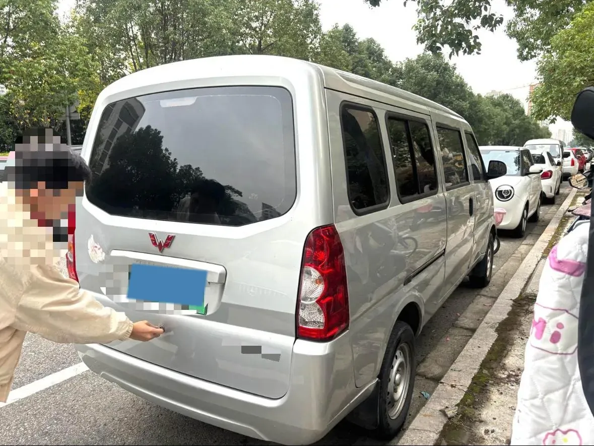 2020 WuLing RongGuang EV BEV 41.6KWH,autocango,china used car exporter,china ev exporter,chinese used car exporter,chinese used ev exporter