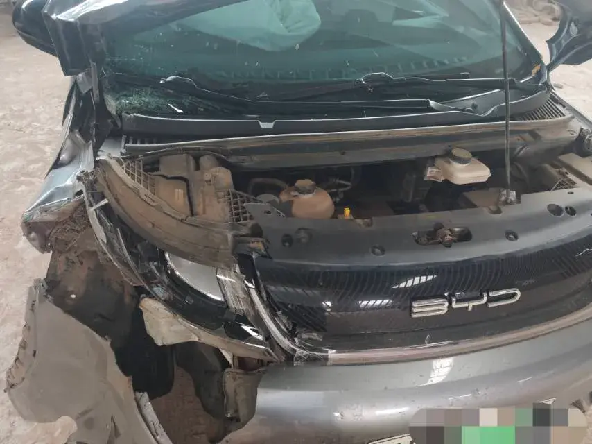 2023 BYD DOLPHIN thumbnail 2