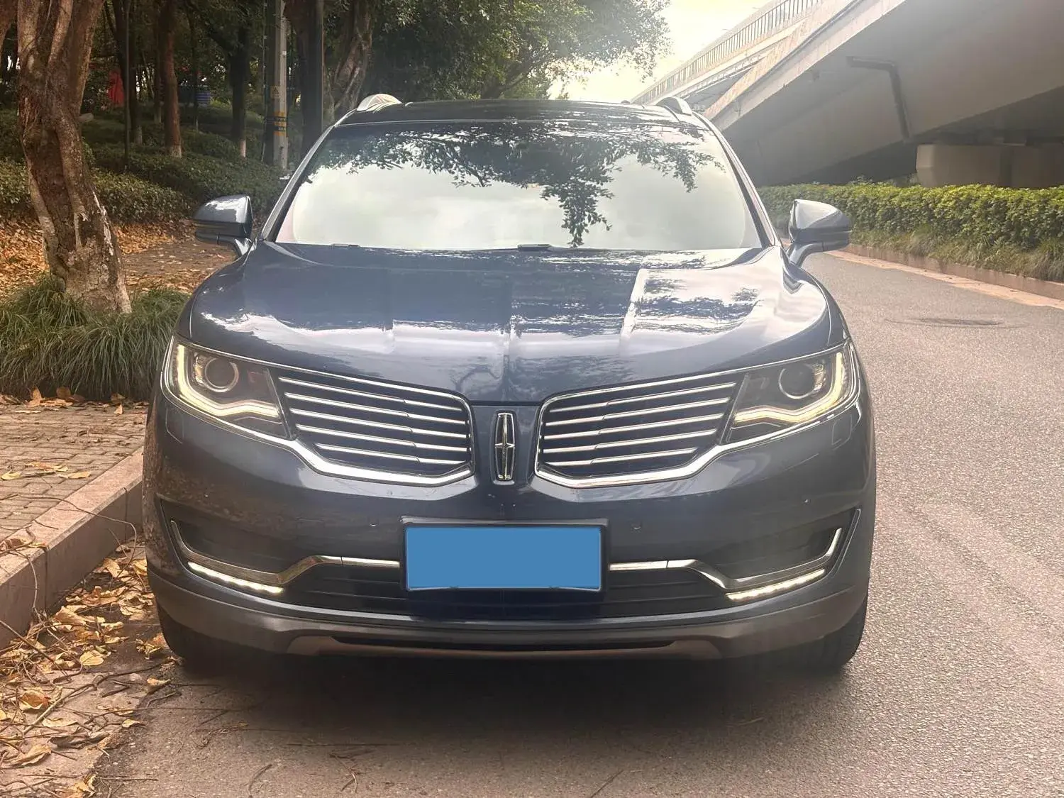 2018 LINCOLN MKX thumbnail 2