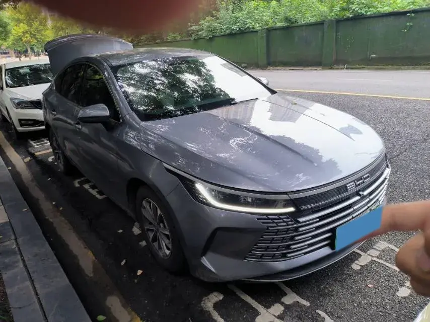 2023 BYD DESTROYER thumbnail 2