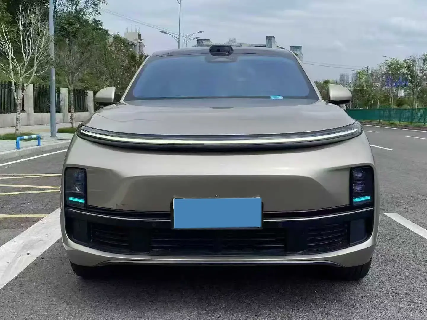 2022 LI L9 thumbnail 2