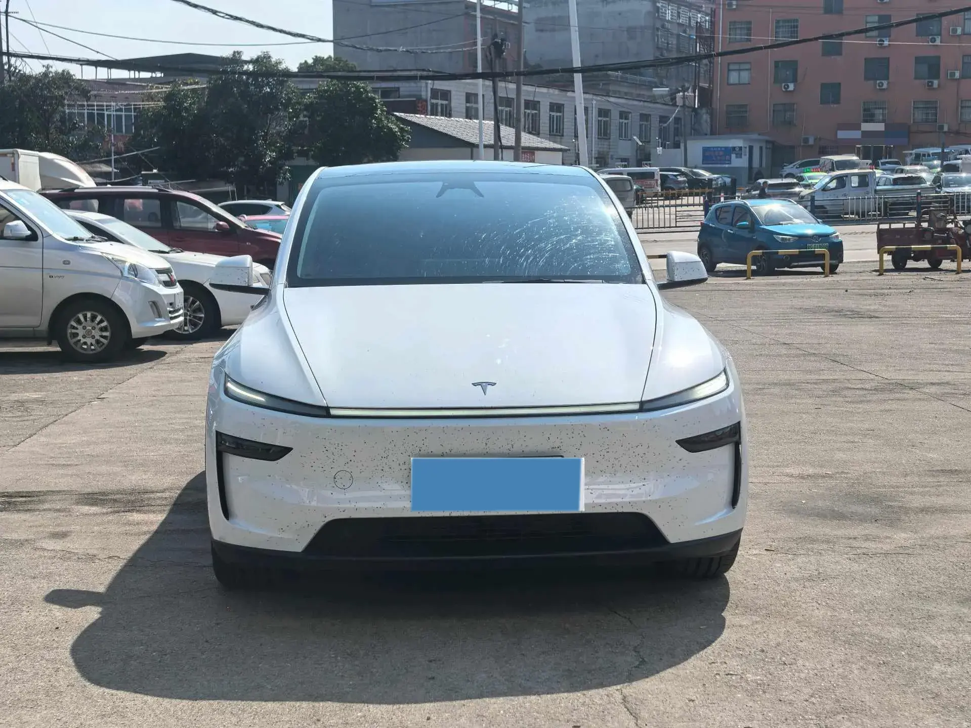 2025 TESLA MODEL thumbnail 2