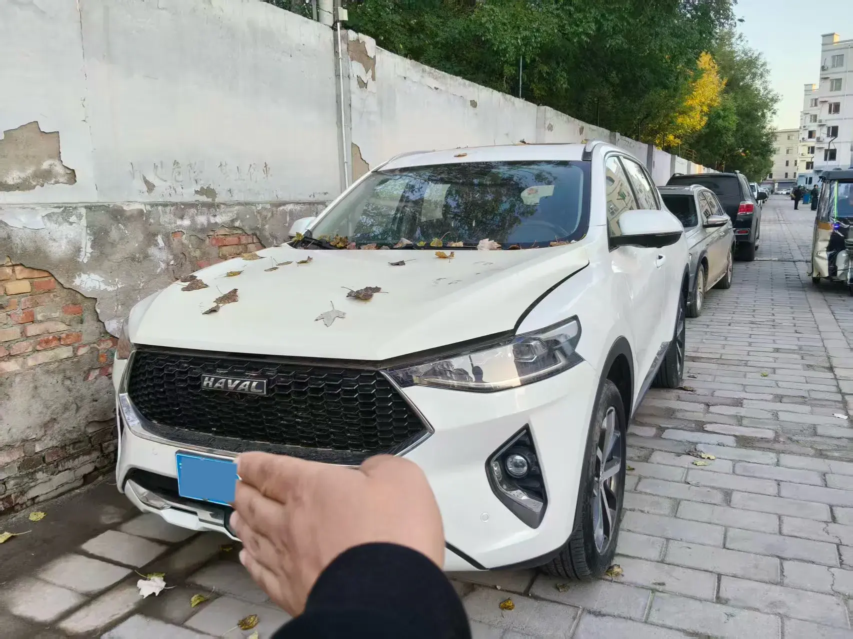 2019 HAVAL F7 view 1