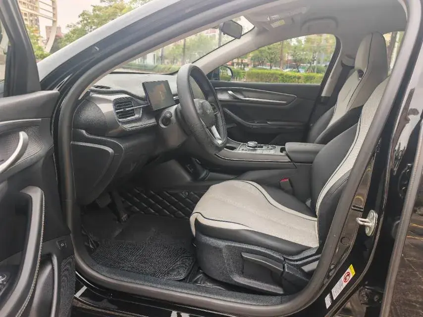 2024 BYD DESTROYER thumbnail 4