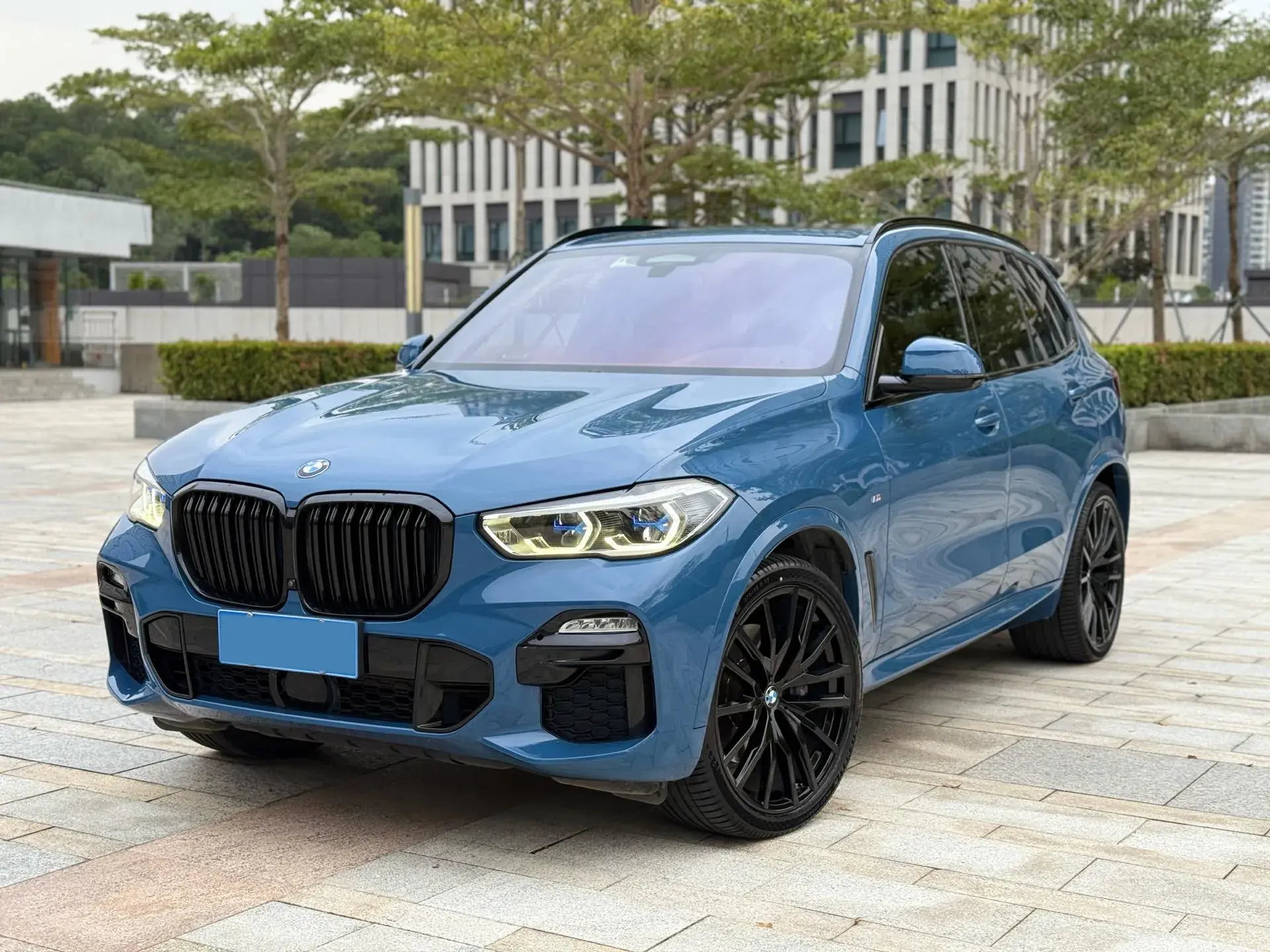 2021 BMW X5 view 1