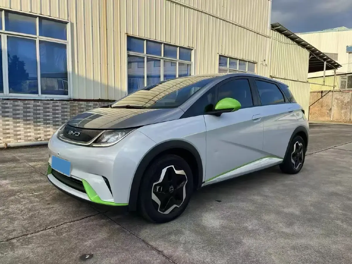 2021 BYD Dolphin BEV 44.9KWH