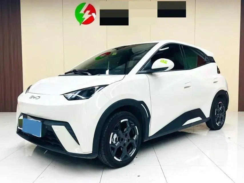 2025 BYD Seagull BEV 30.08KWH