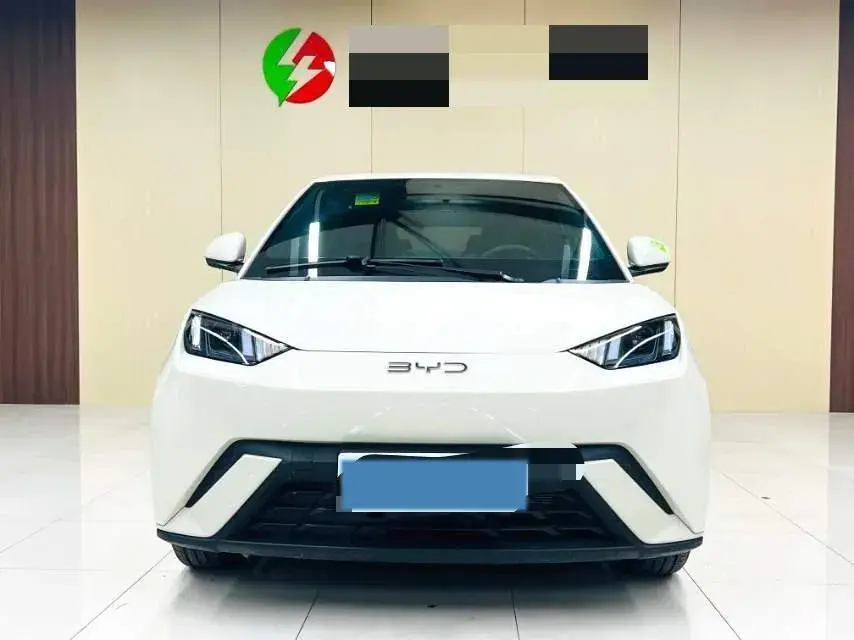 2025 BYD SEAGULL thumbnail 2