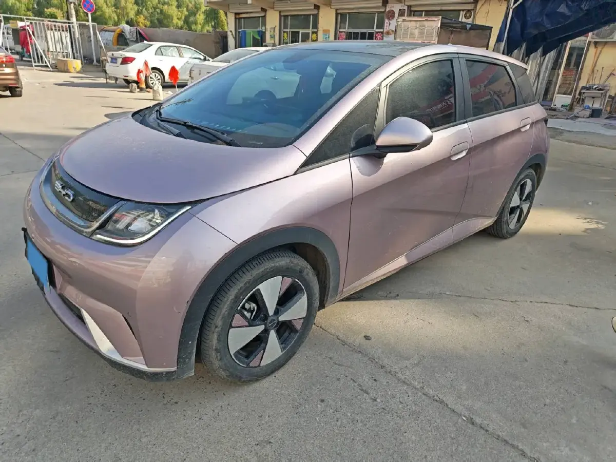 2023 BYD Dolphin BEV 44.928KWH