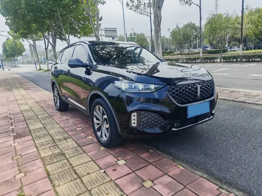 2020 WEY VV6 thumbnail 2