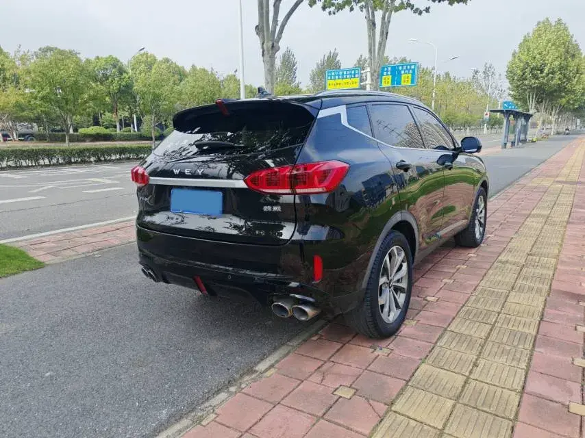 2020 WEY VV6 thumbnail 4