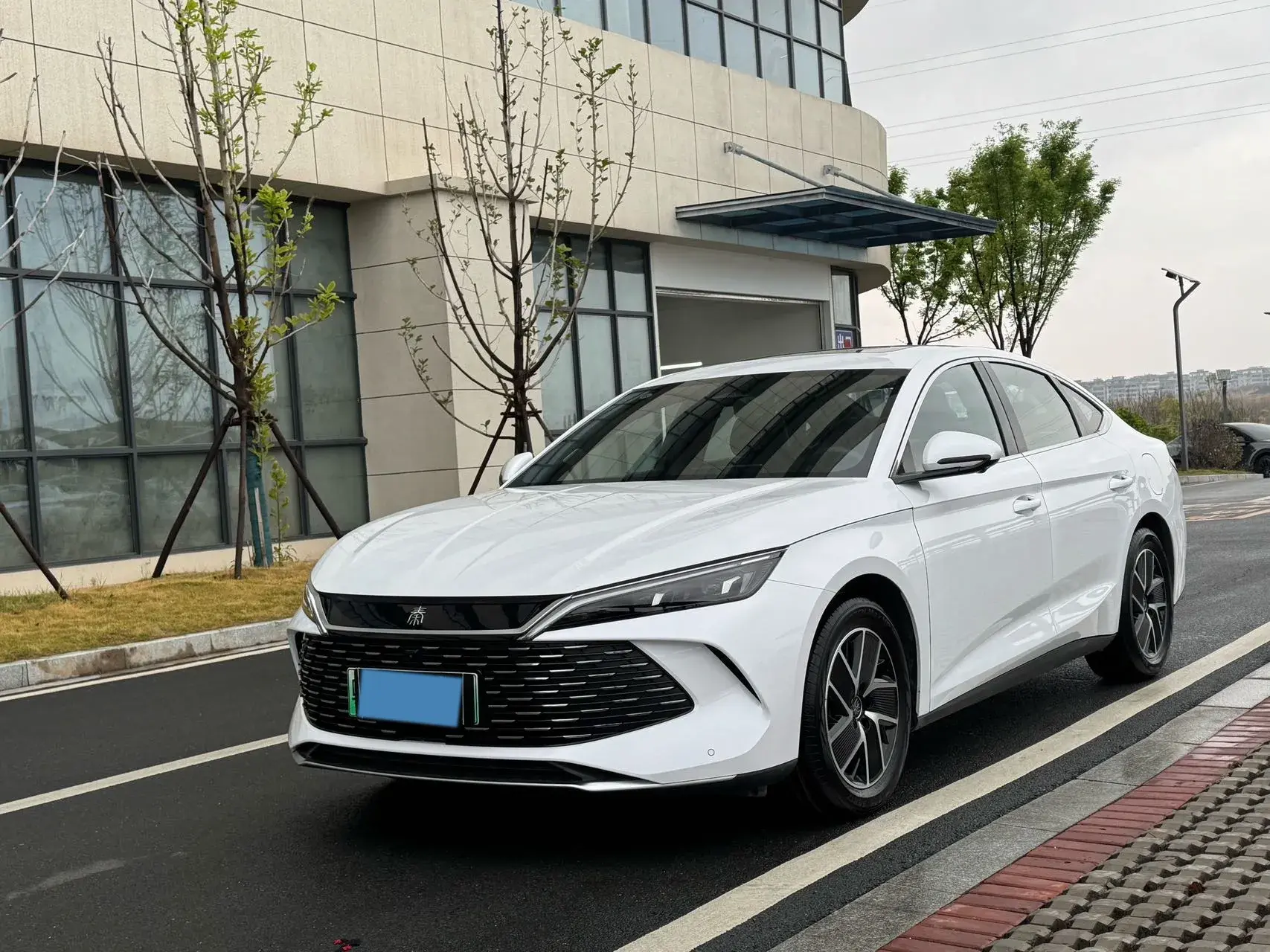 2024 BYD QINL view 1