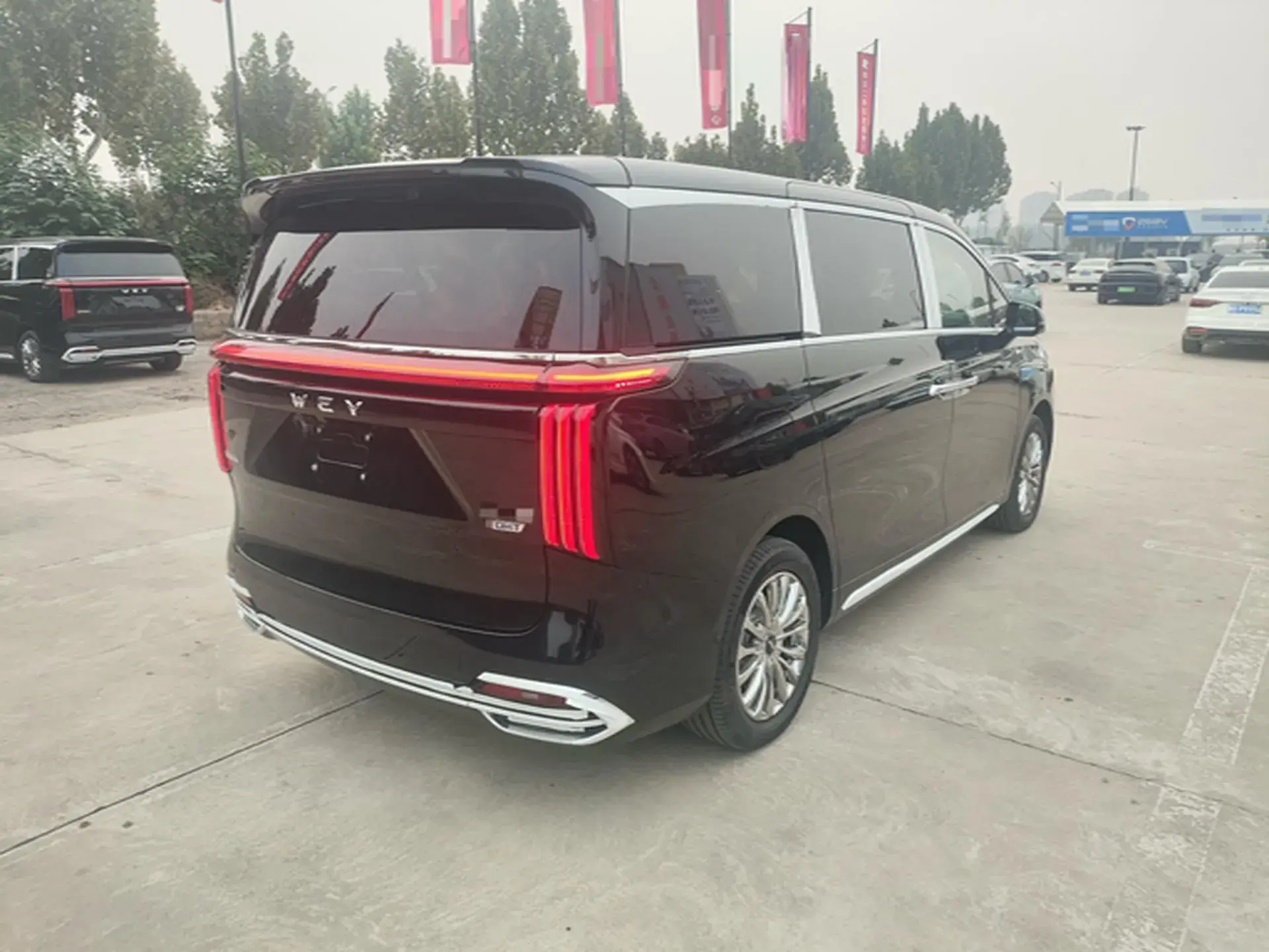 2024 HONGQI HQ9 thumbnail 3