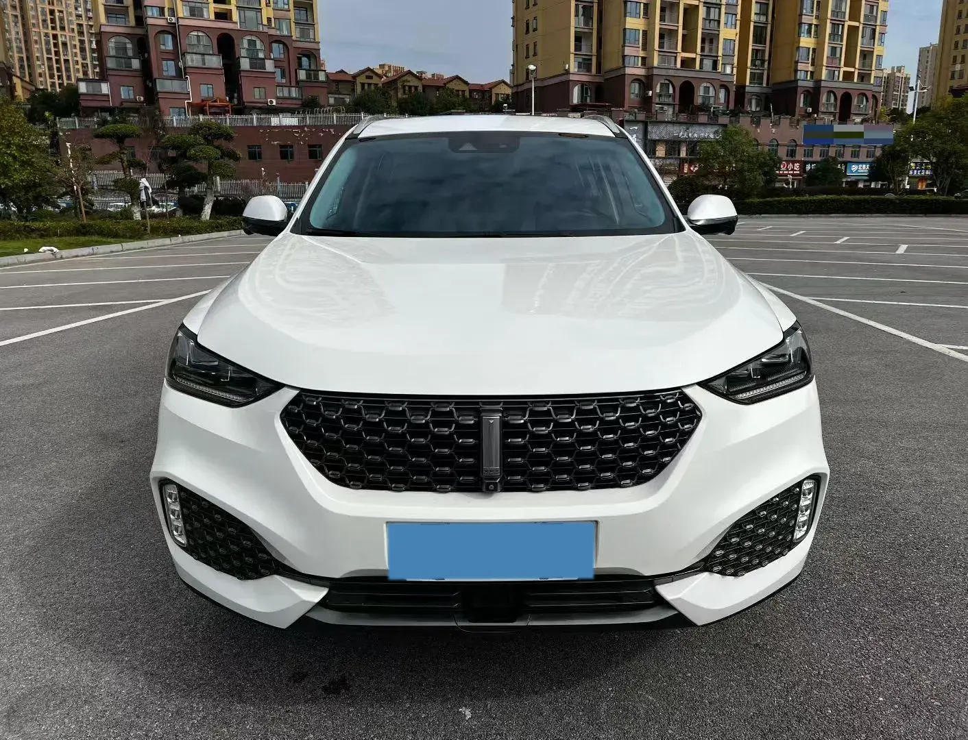 2020 WEY VV6 thumbnail 2