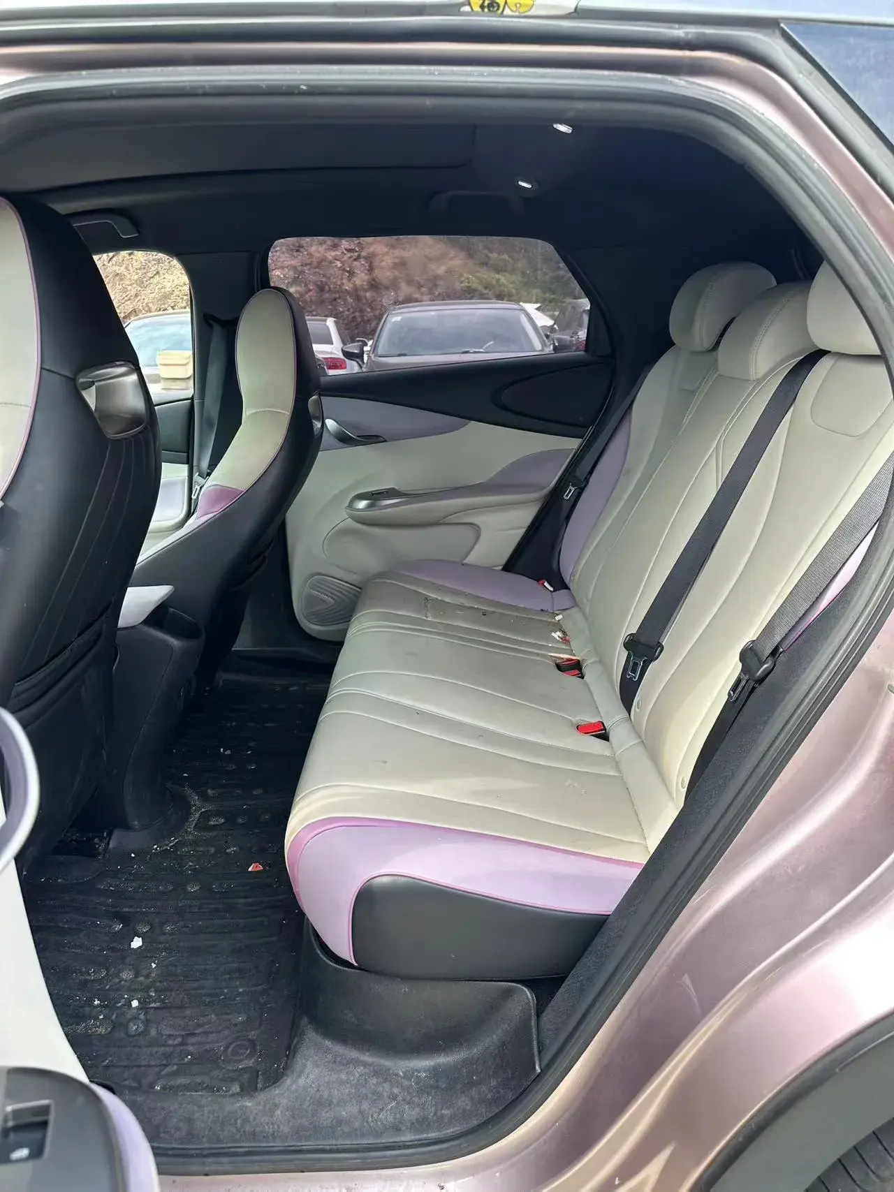 2021 BYD DOLPHIN thumbnail 4