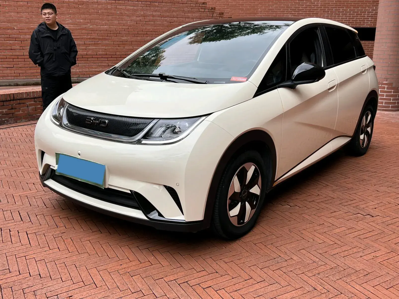 2024 BYD DOLPHIN view 1