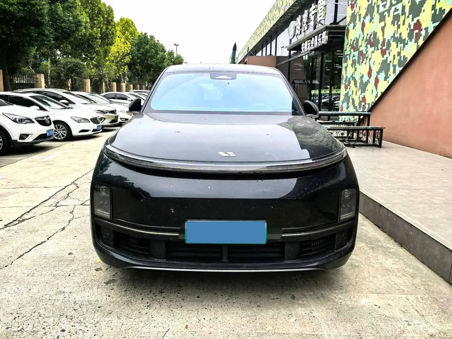 2024 LI L8 thumbnail 2