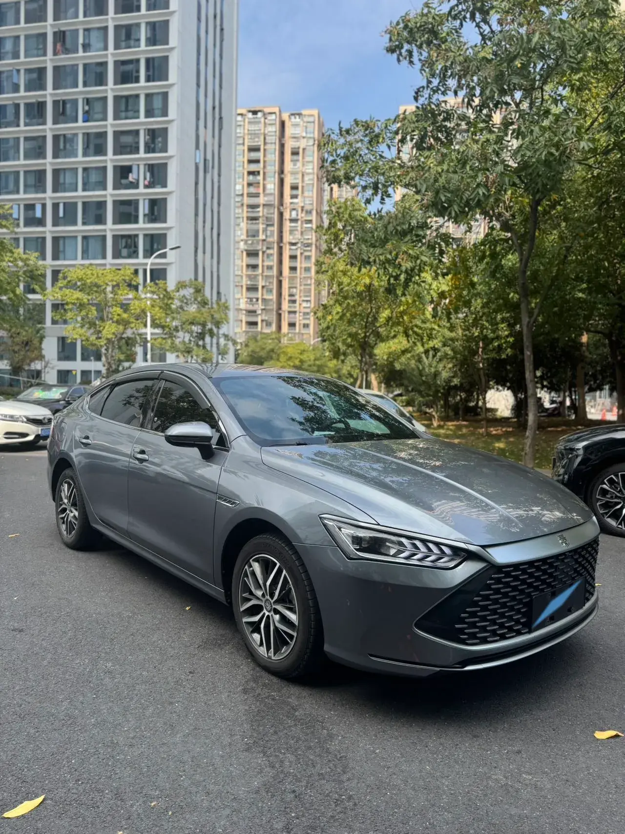 2021 BYD QIN thumbnail 2