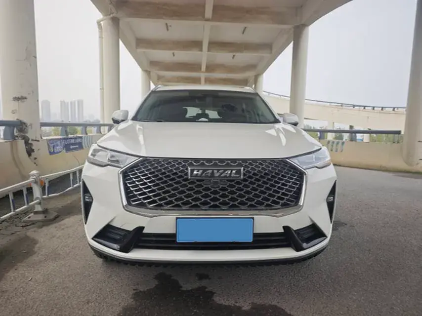 2021 HAVAL H6 thumbnail 2