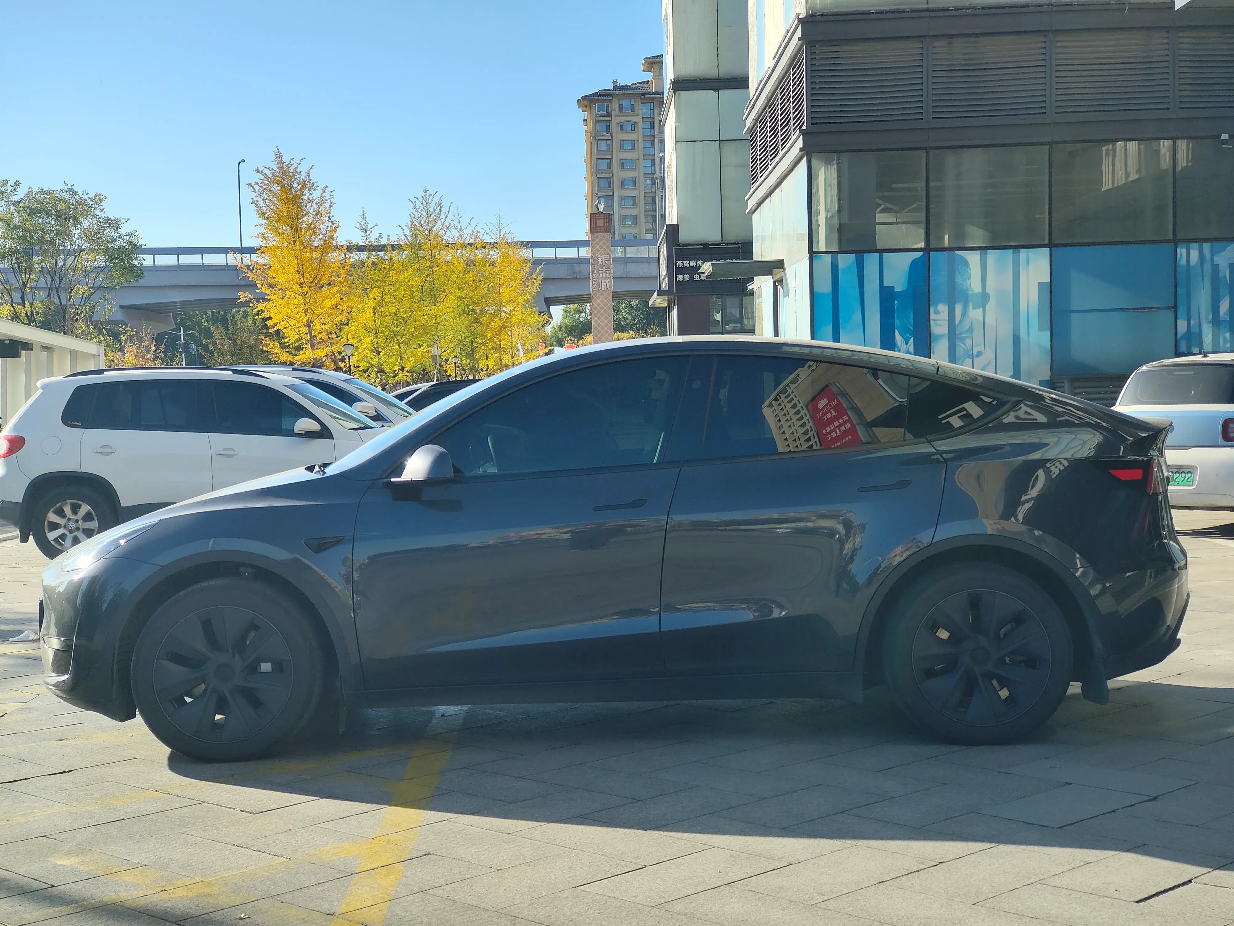 2024 TESLA MODEL thumbnail 3