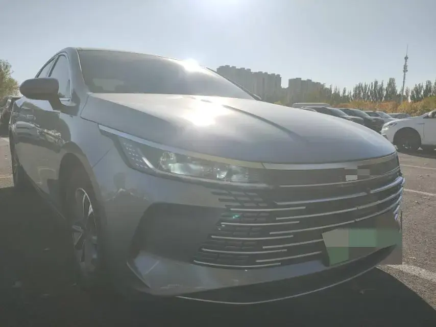 2024 BYD DESTROYER thumbnail 3