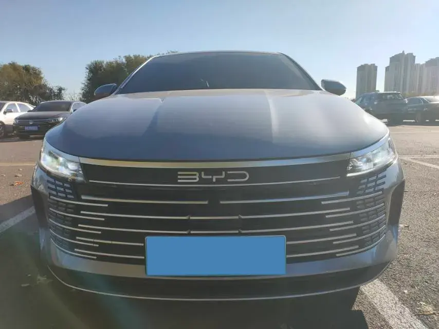 2024 BYD DESTROYER thumbnail 2