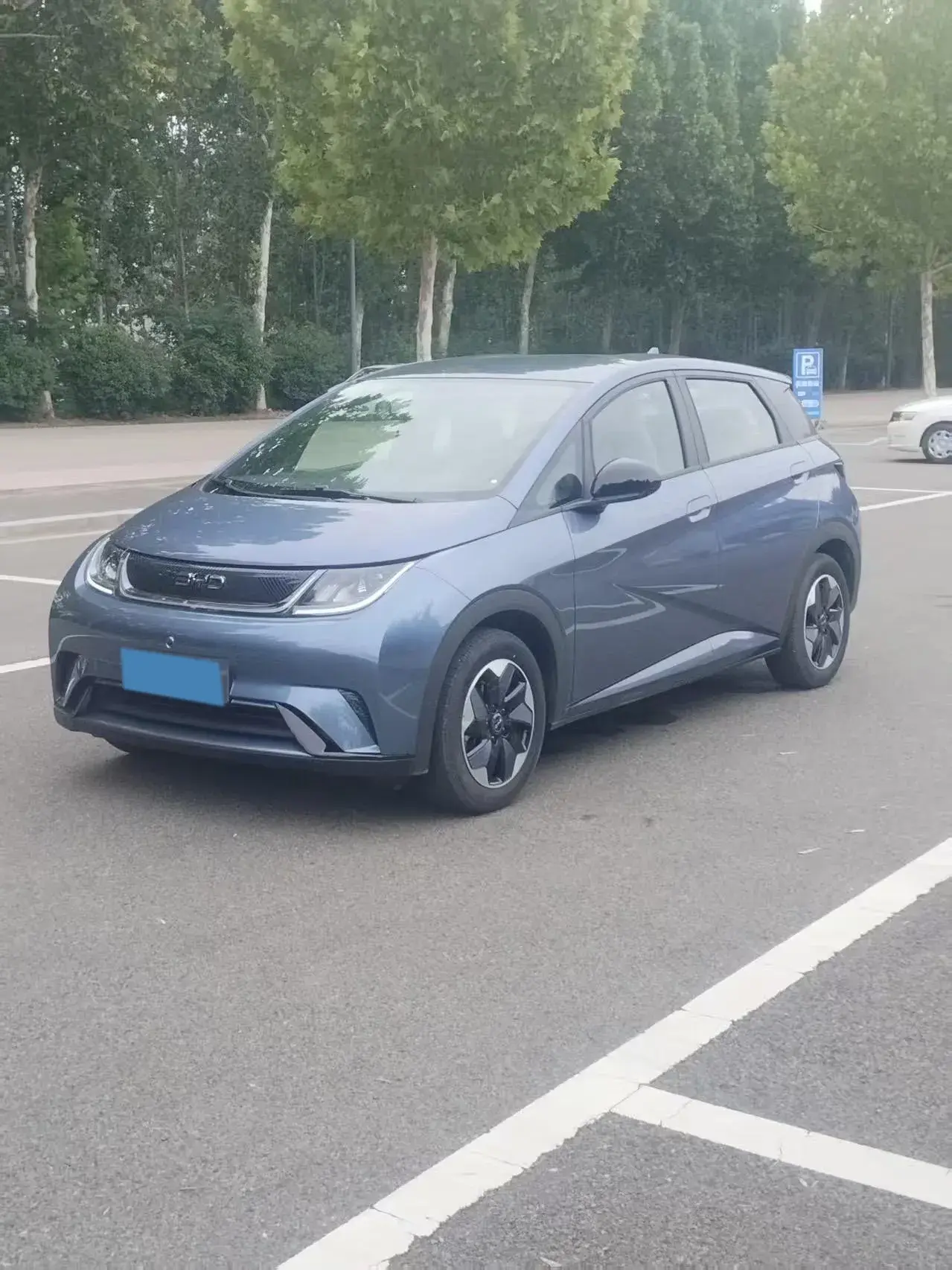 2025 BYD DOLPHIN view 1