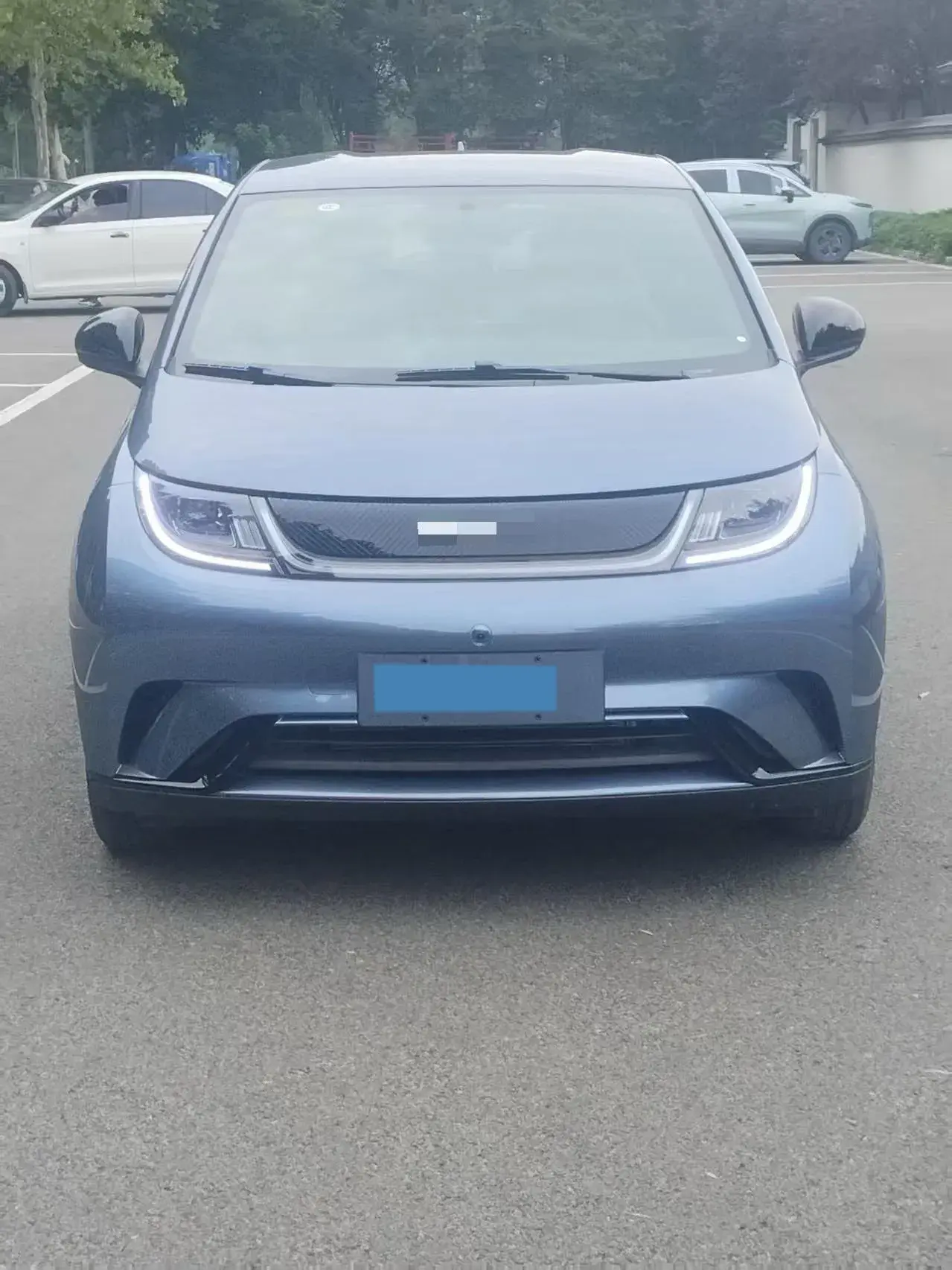 2025 BYD DOLPHIN thumbnail 2