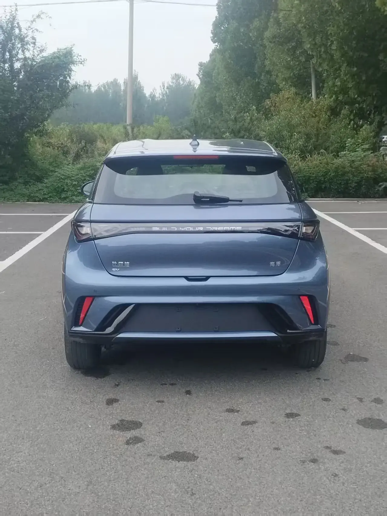 2025 BYD DOLPHIN thumbnail 4