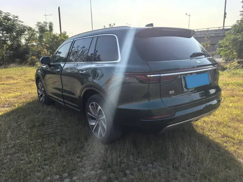 2021 LI ONE thumbnail 2