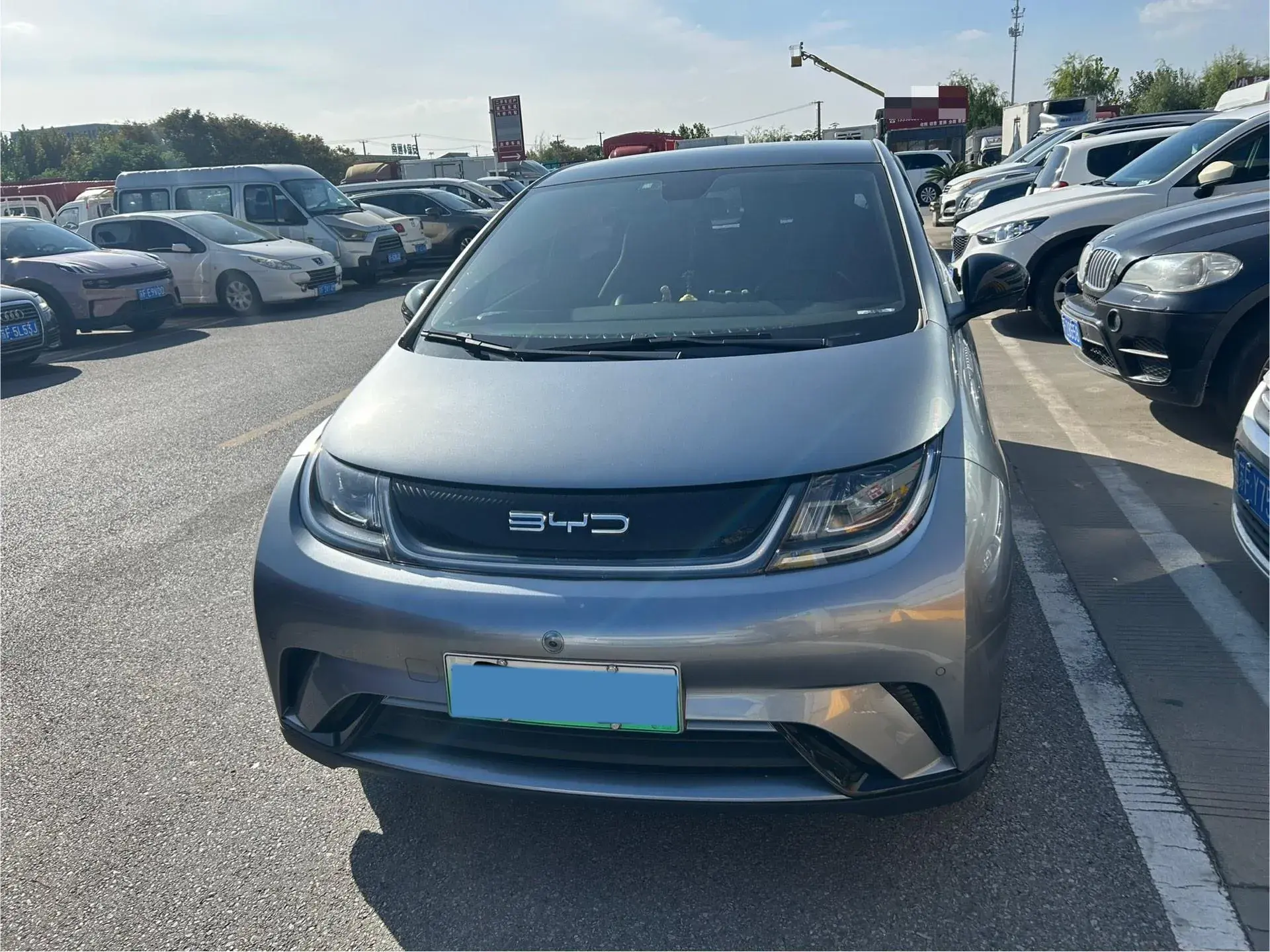 2023 BYD DOLPHIN thumbnail 2