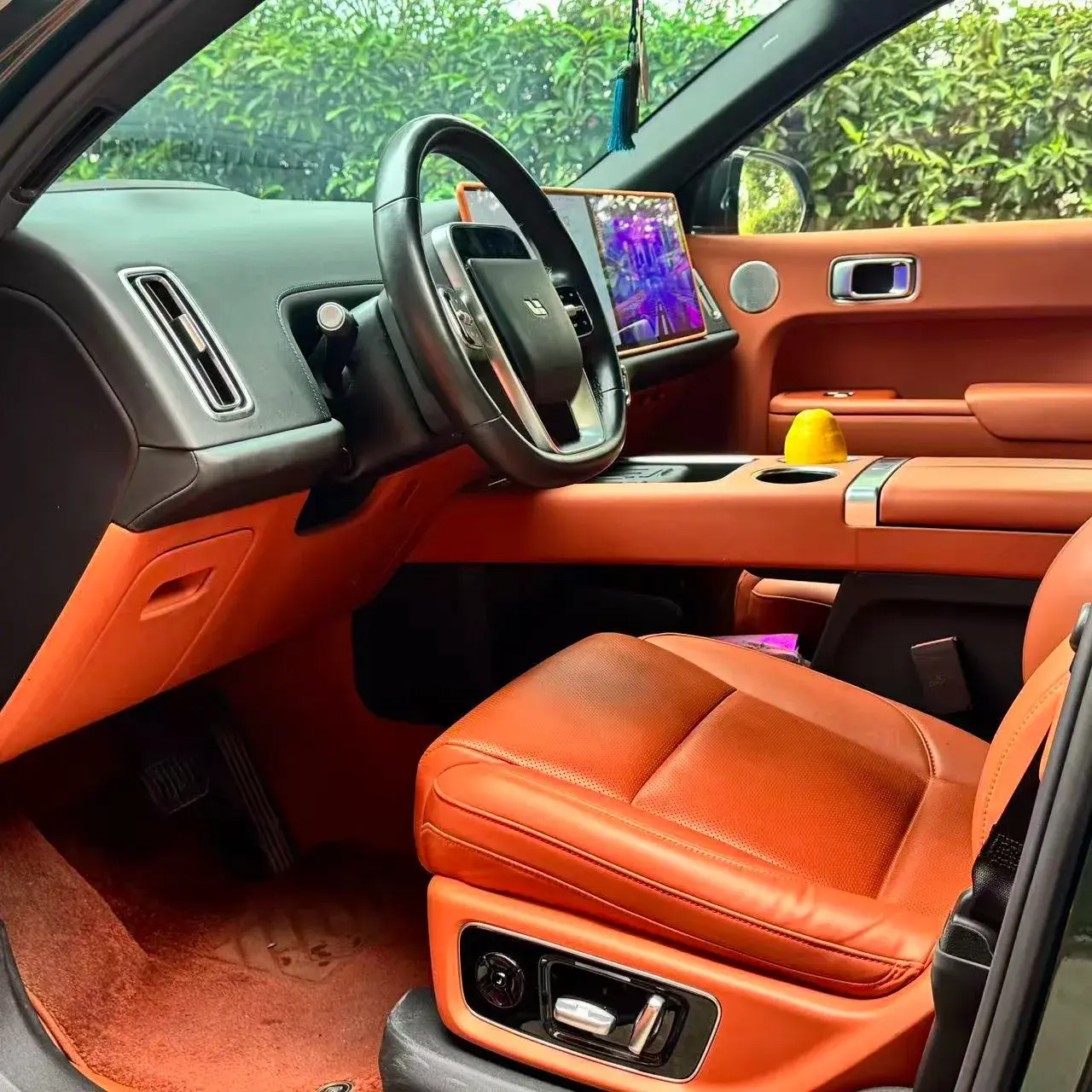 2022 LI L9 thumbnail 4