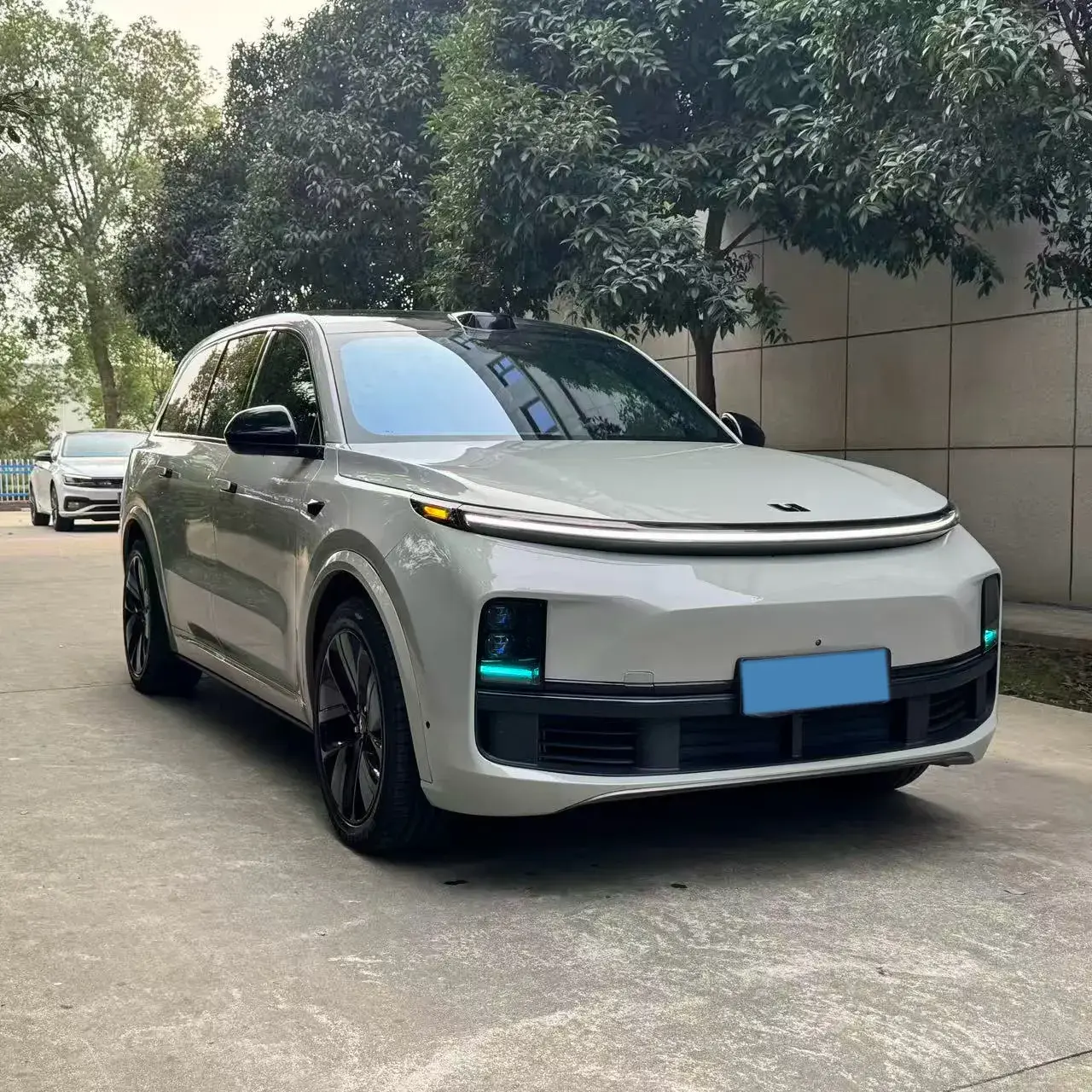 2022 LI L9 thumbnail 2