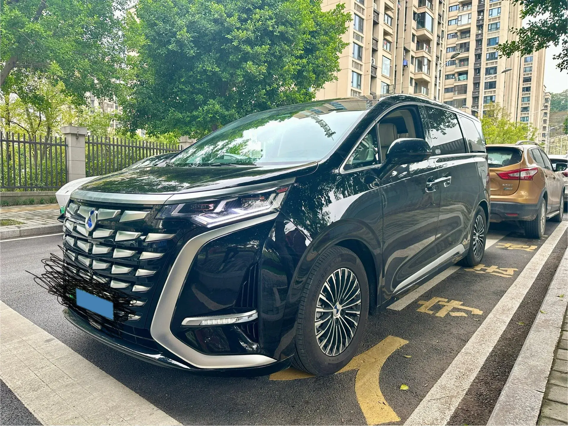 2024 DENZA D9 view 1