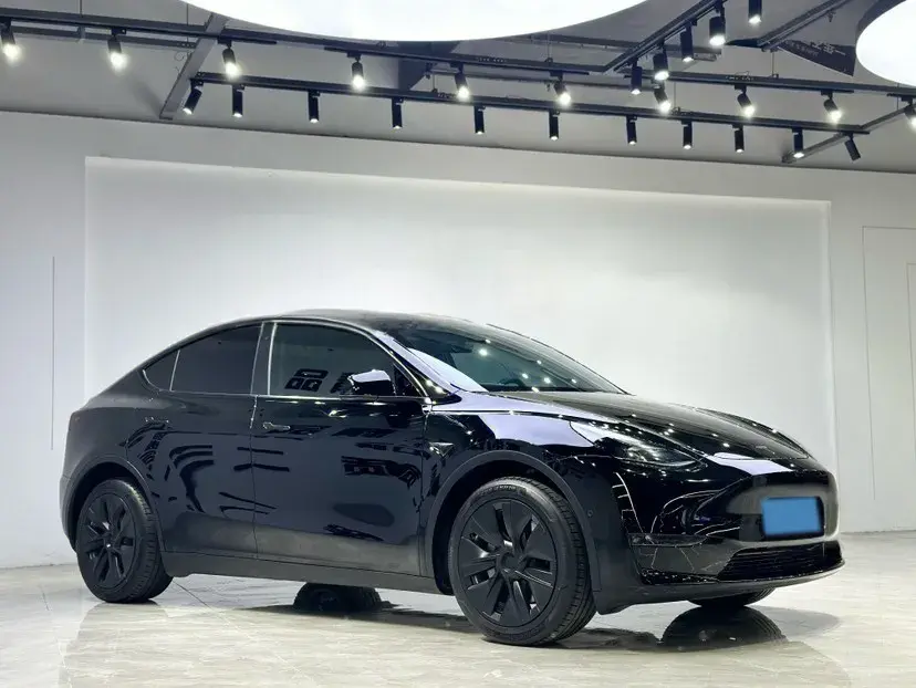 2023 TESLA MODEL thumbnail 3