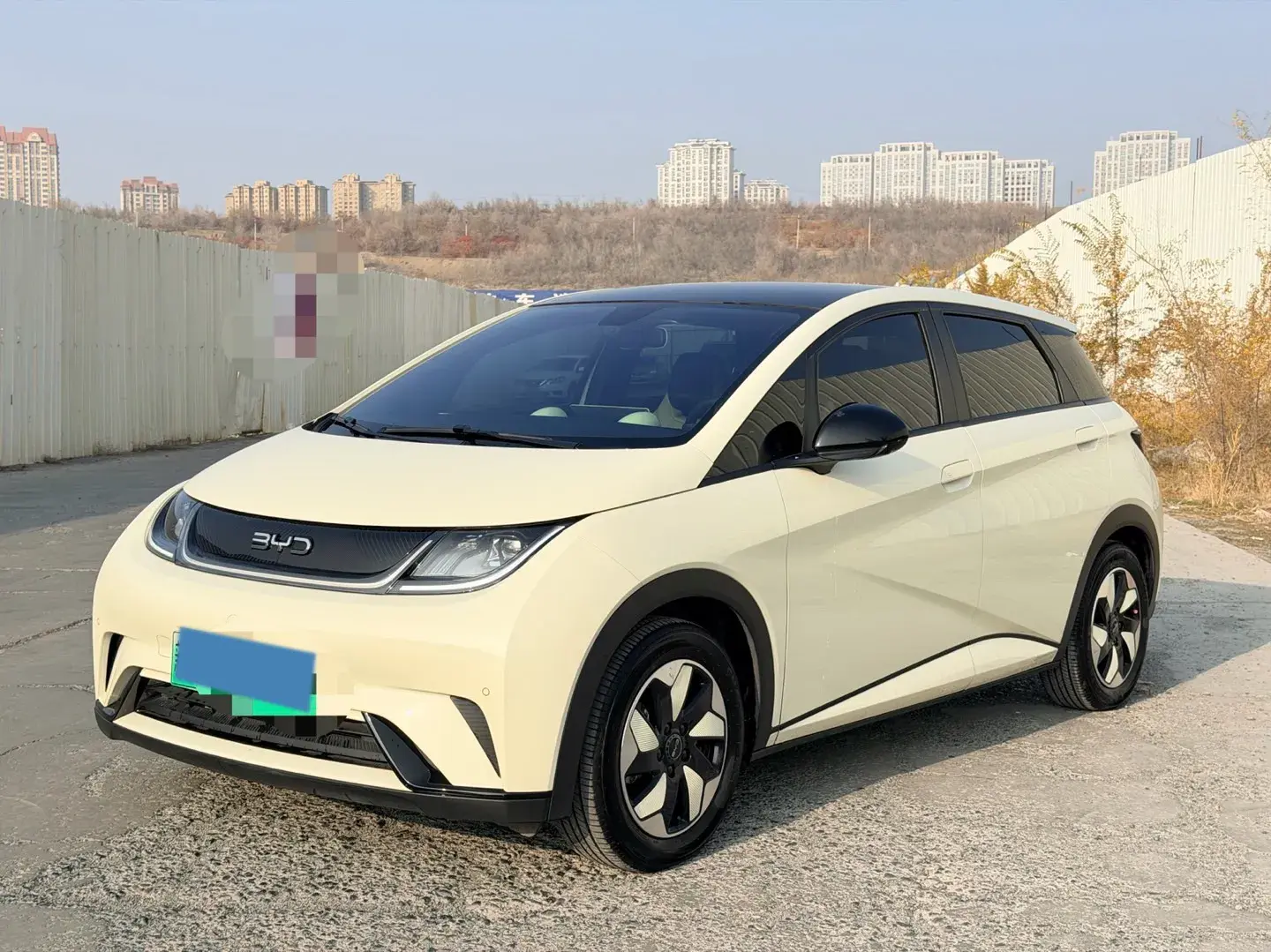 2024 BYD DOLPHIN view 1