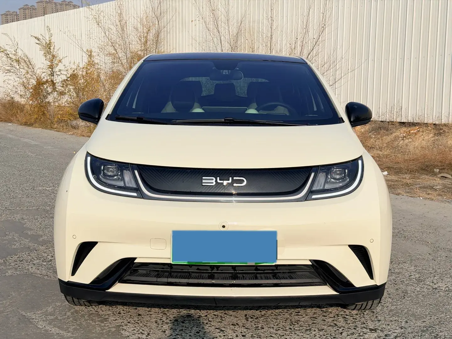 2024 BYD DOLPHIN thumbnail 2